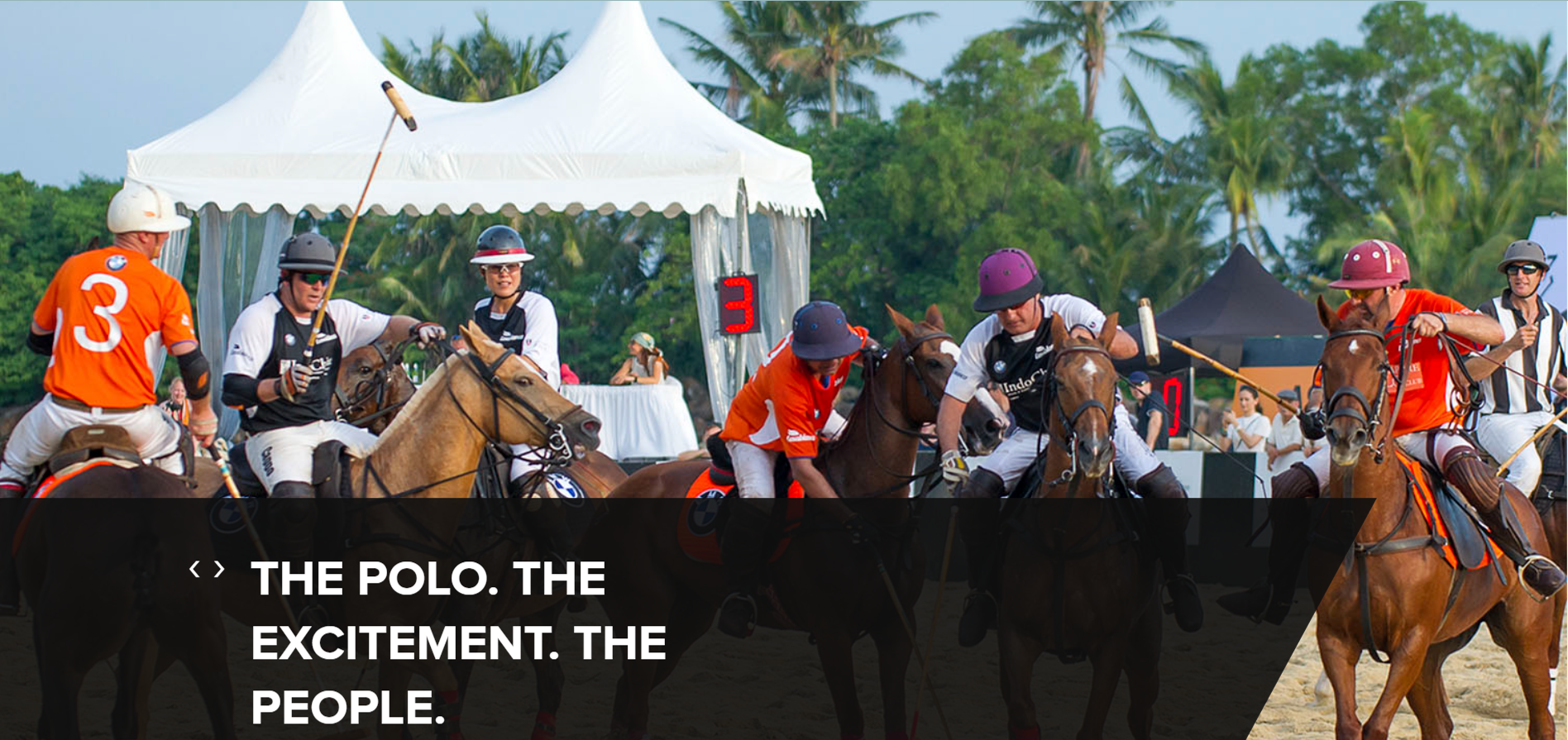 Singapore Polo Club image