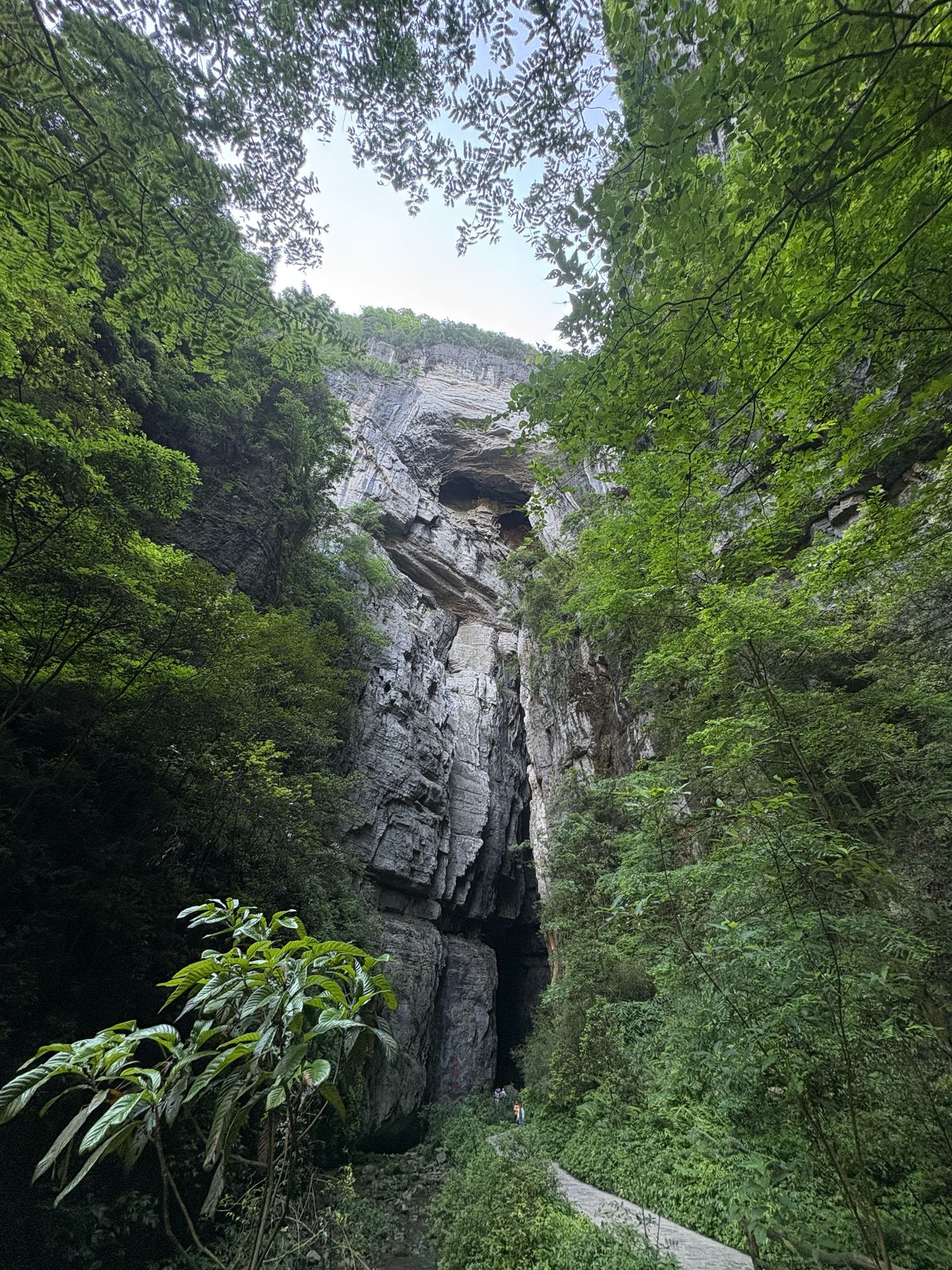 View of Gorilla Rock